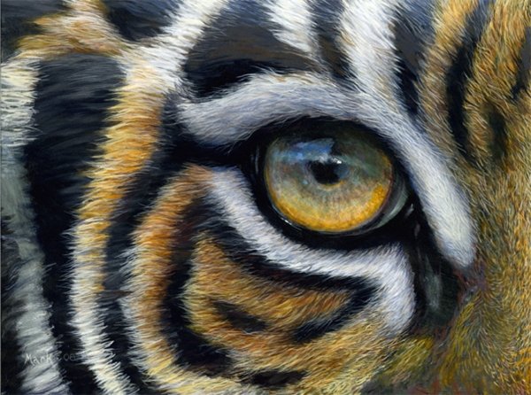 Tiger eye clearance painting