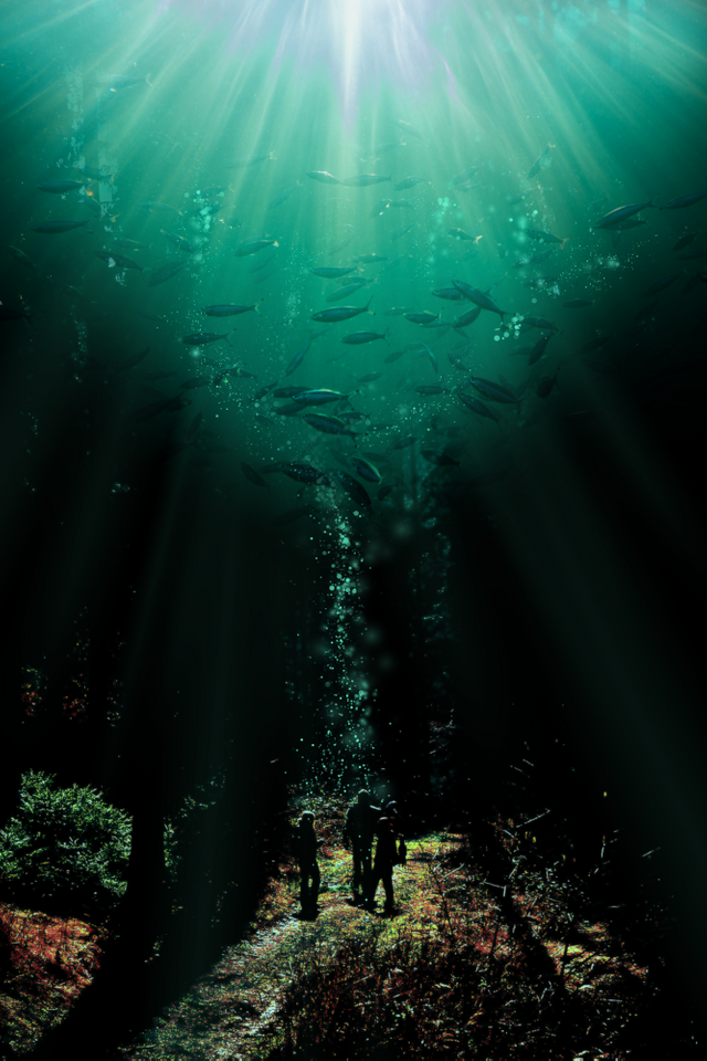 steemit forest in the sea.png