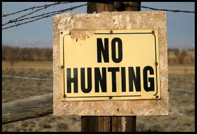 no-hunting.jpg