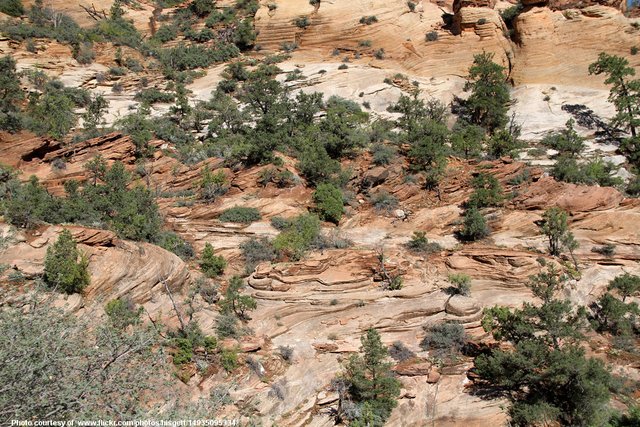 DesertRocksAndTrees-090718.jpg