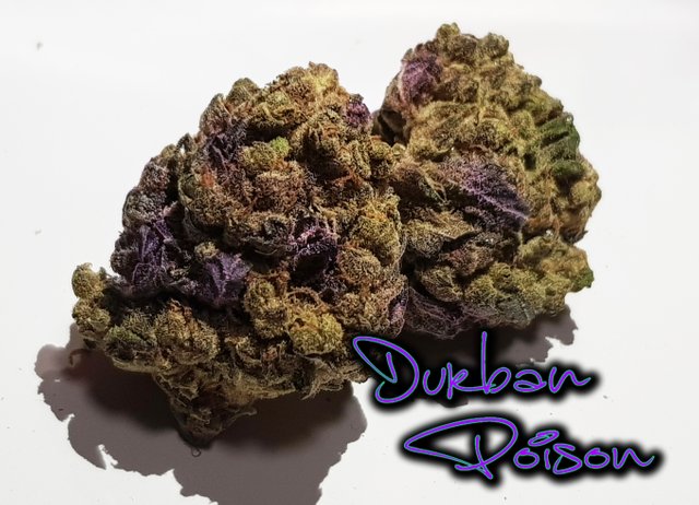 Durban Poison siC.jpg