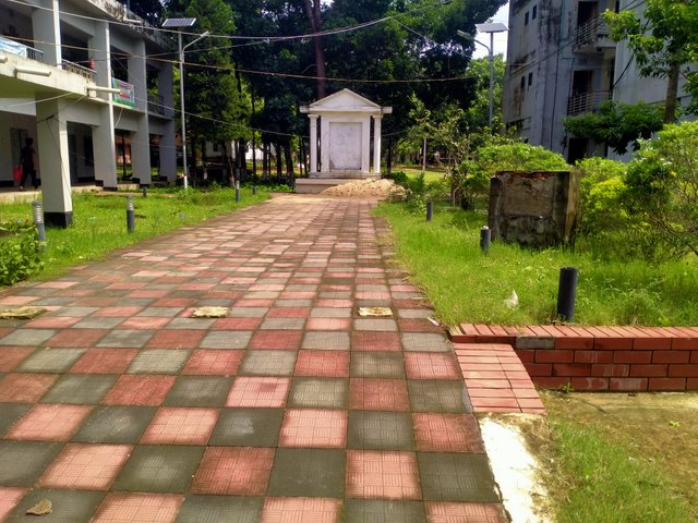 IMG20250619100721.jpg