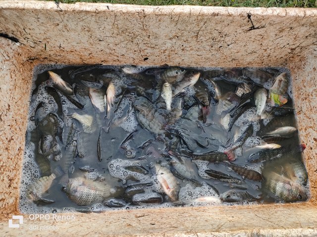 IMG20250803114144.jpg