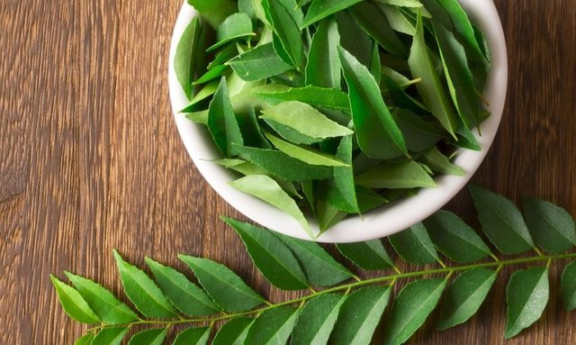 curry-leaves.jpg