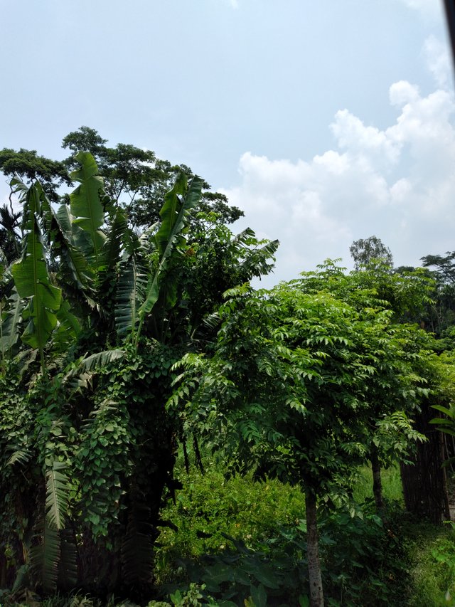 20250609_114845.jpg