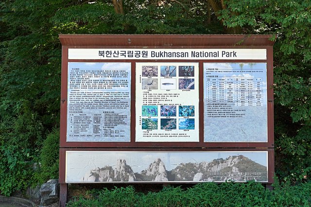 b-DSC09199.JPG