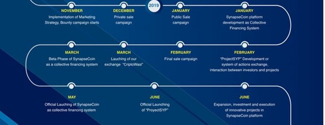 synapsecoin road map.JPG