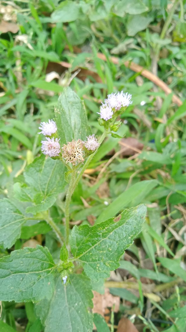 IMG20250303112339.jpg