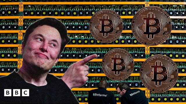 _116833942_muskbitcoin.jpg