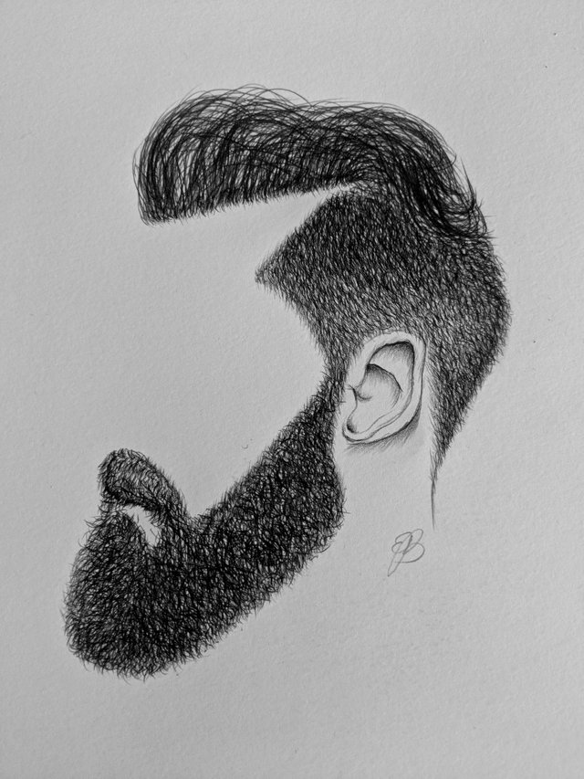 Beard+Hair.jpg