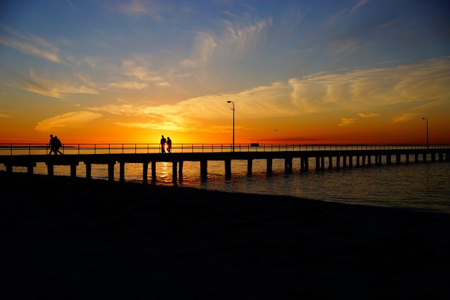 Alex Wigan,Bay Trail, McCrae, Australia.jpeg