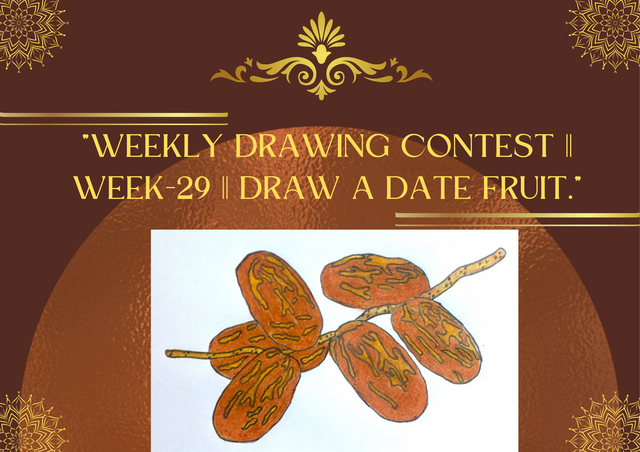 Weekly Drawing Contest  Week-29  Draw a Date Fruit..png