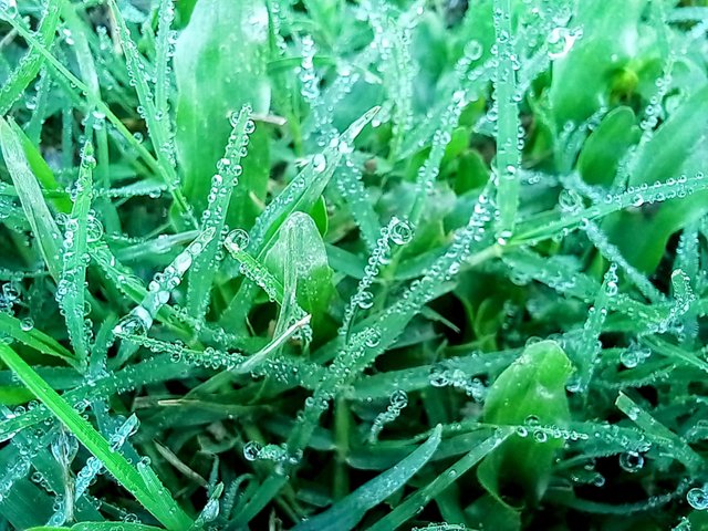 20250403_084506~2.jpg