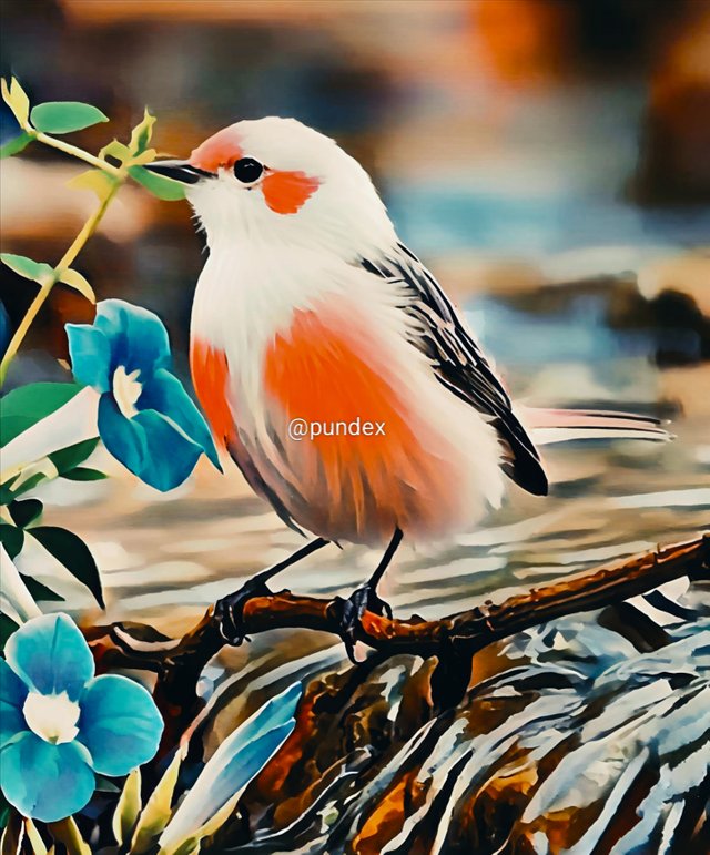 1000013970.jpg