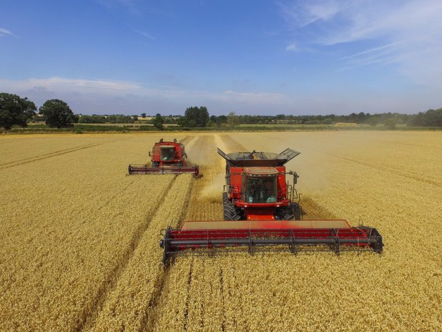 two-combines-wheat-harvest-1609377.jpg