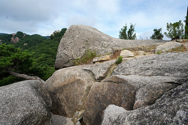 b-250723-073651.jpg