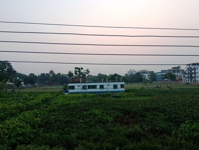 1000030765.jpg