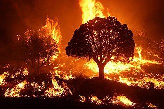 Burnout_ops_on_Mangum_Fire_McCall_Smokejumpers.jpg