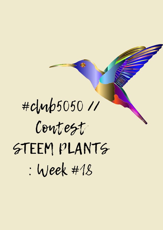 Сontest STEEM PLANTS  Week #16 (1).jpg