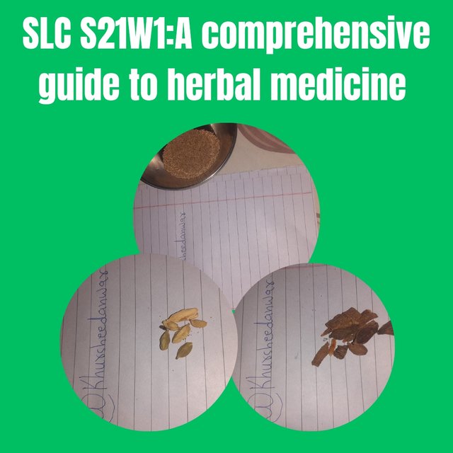 A comprehensive guide to herbal medicine_20241103_163453_0000.jpg