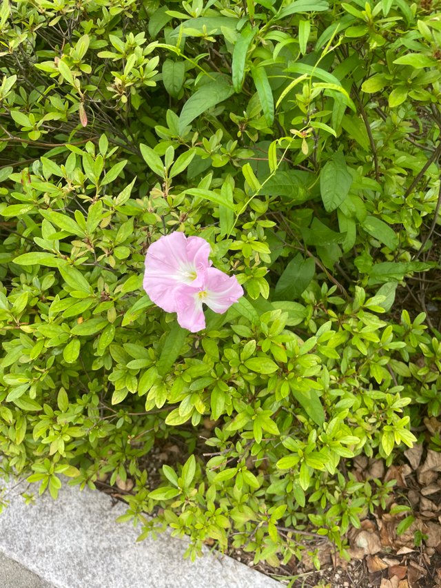 IMG_7892.jpeg