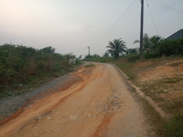IMG20250205172903.jpg