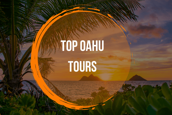 best-oahu-tours-in-hawaii.png