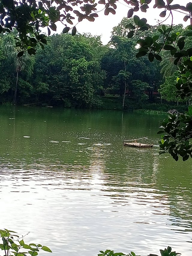 IMG20250626171724.jpg