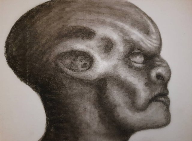 20250628_110613.jpg