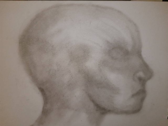 20250729_105021.jpg