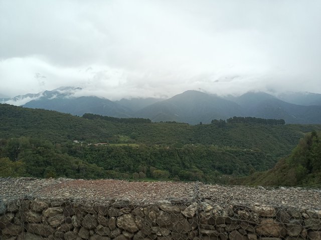 IMG_20250419_133419_091.jpg