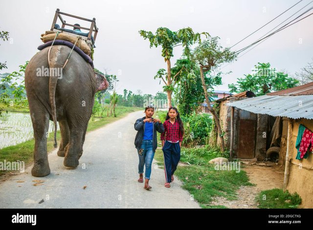 daily-life-in-sauraha-chitwan-national-park-nepal-2DGC7XG.jpg