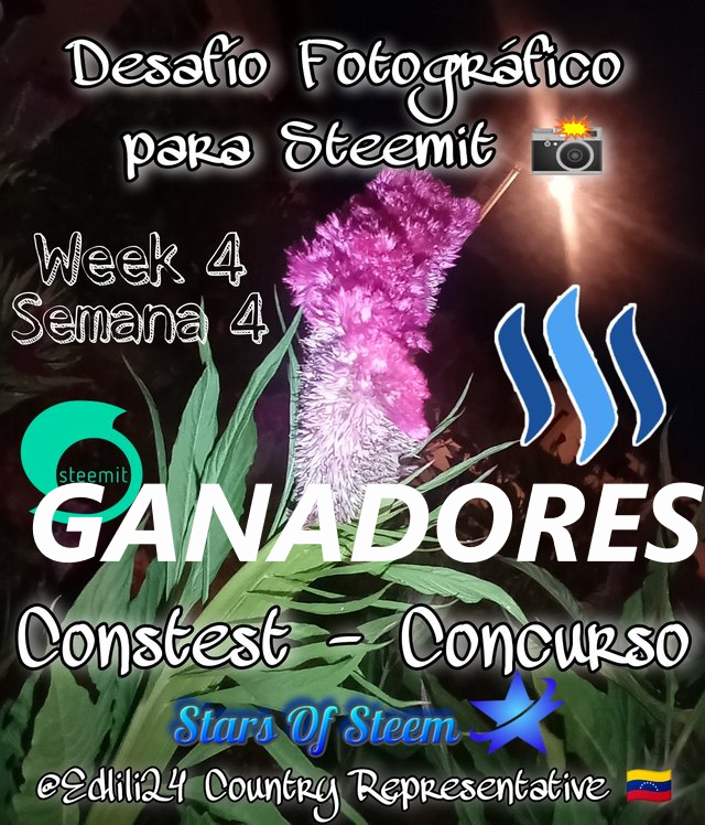 GANADORES DESAFIO 4.png