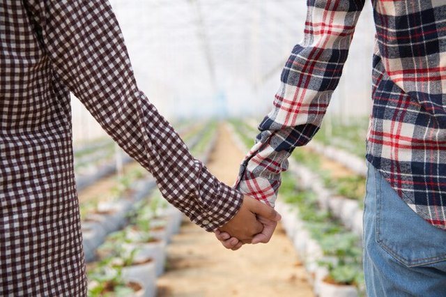 women-holding-hands-melon-plantation_1150-10605.jpg