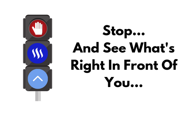 Stop... And See What's Right In Front Of You....png