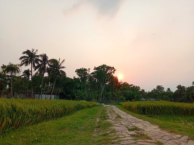 IMG_20250429_202749.jpg
