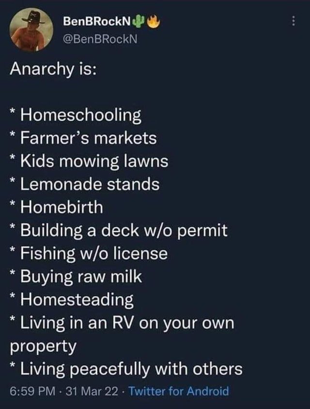 what-anarchy-really-is.jpg