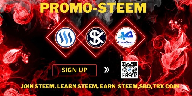 promo steem(253).jpg