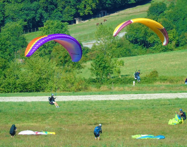 1parapentes (14).JPG