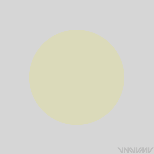 1236-Circle-Yellow.png