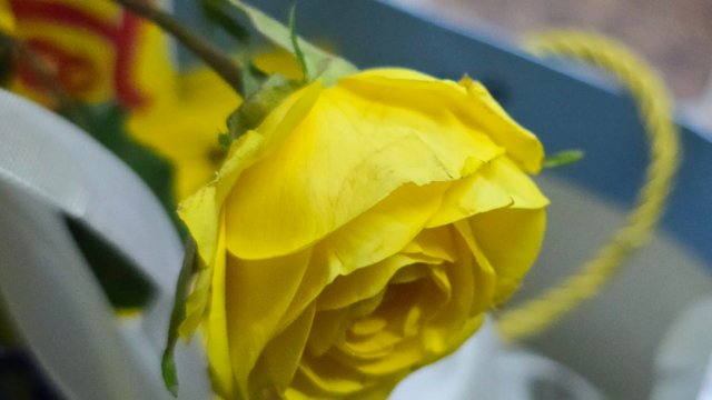 20250512_001817.jpg
