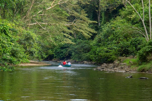 Sungai Bole-08588.jpg