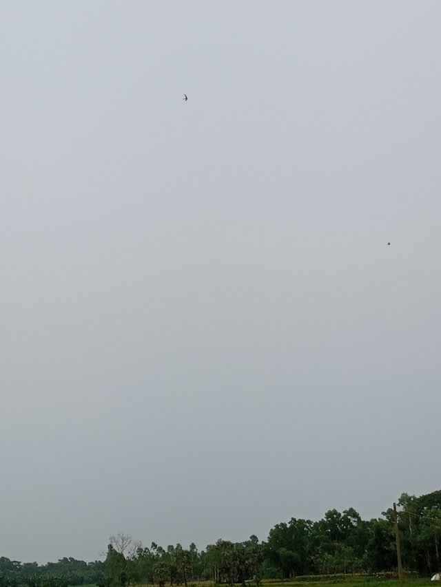 IMG20250506172930.jpg