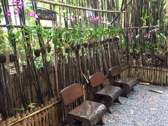 Kwanjai Bamboo Garden8.jpg