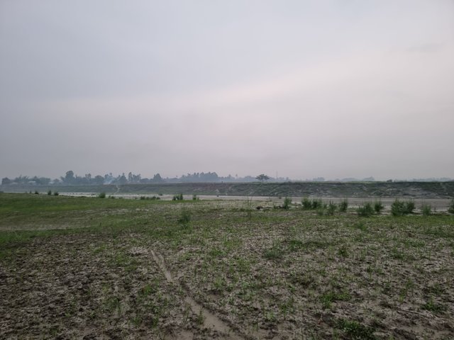 1000034805.jpg