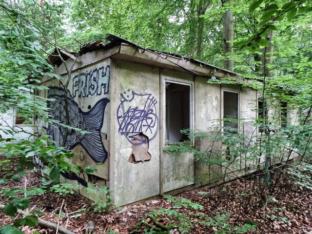 2019 - 08 - Wandern Usedom (817)_Snapseed.jpg