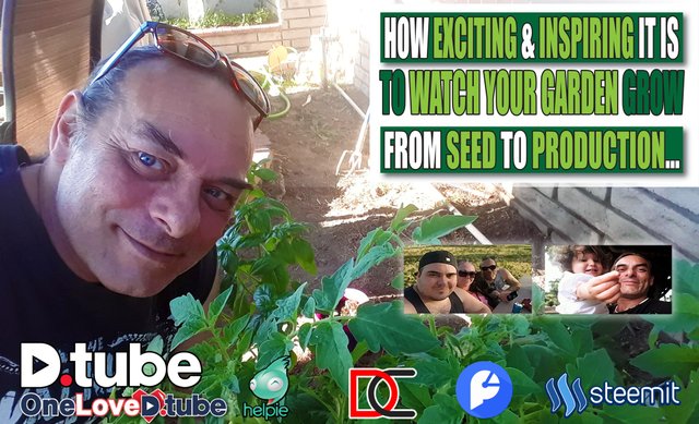 How Exciting & Inspiring it is to watch Your Garden Grow from Seed to Production... My @diytube Garden.jpg