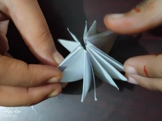 1000016767.jpg
