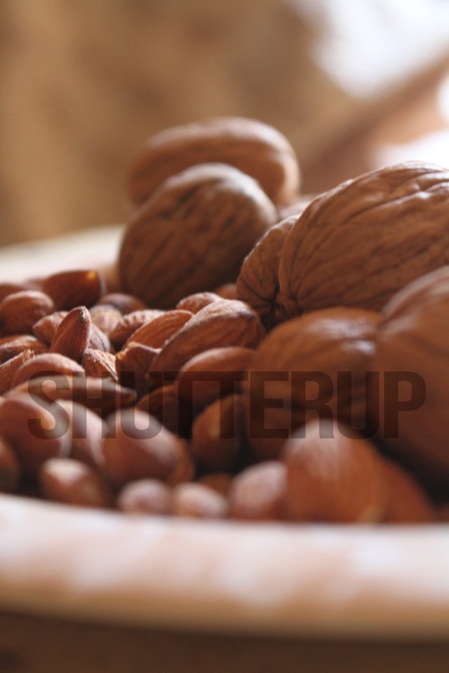 dryfruit photo wint wm.jpg