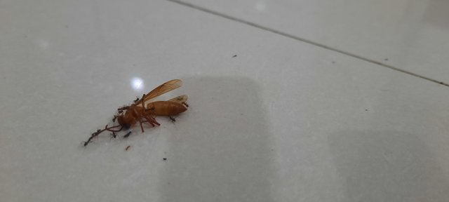 20250518_205339.jpg